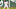 Boston Red Sox Tzu-Wei Lin Boston Red Sox Tzu-Wei Lin