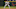 SEATTLE – SEPTEMBER 13: Third baseman Adrian Beltre #29 of the Boston Red Sox watches the pitch against the Seattle Mariners at Safeco Field on September 13, 2010 in Seattle, Washington. (Photo by Otto Greule Jr/Getty Images) SEATTLE – SEPTEMBER 13: Third baseman Adrian Beltre #29 of the Boston Red Sox watches the pitch against the Seattle Mariners at Safeco Field on September 13, 2010 in Seattle, Washington. (Photo by Otto Greule Jr/Getty Images)