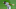 Red Sox SS Xander Bogaerts Red Sox SS Xander Bogaerts