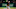 ARLINGTON, TEXAS – SEPTEMBER 25: Josh Taylor #72 of the Boston Red Sox throws against the Texas Rangers in the seventh inning at Globe Life Park in Arlington on September 25, 2019 in Arlington, Texas. (Photo by Ronald Martinez/Getty Images) ARLINGTON, TEXAS – SEPTEMBER 25: Josh Taylor #72 of the Boston Red Sox throws against the Texas Rangers in the seventh inning at Globe Life Park in Arlington on September 25, 2019 in Arlington, Texas. (Photo by Ronald Martinez/Getty Images)