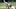 (Photo by Michael Zagaris/MLB Photos via Getty Images) (Photo by Michael Zagaris/MLB Photos via Getty Images)