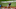 Red Sox utilityman Yairo Munoz Red Sox utilityman Yairo Munoz