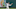 Kevin Kiermaier Kevin Kiermaier