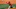 Mar 15, 2017; Port Charlotte, FL, USA; Boston Red Sox relief pitcher Ben Taylor (79) against the Tampa Bay Rays at Charlotte Sports Park. The game ended in a tie 3-3. Mandatory Credit: Aaron Doster-USA TODAY Sports Mar 15, 2017; Port Charlotte, FL, USA; Boston Red Sox relief pitcher Ben Taylor (79) against the Tampa Bay Rays at Charlotte Sports Park. The game ended in a tie 3-3. Mandatory Credit: Aaron Doster-USA TODAY Sports