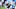 Pittsburgh Steelers v Carolina Panthers Pittsburgh Steelers v Carolina Panthers