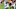 Carolina Panthers v Arizona Cardinals Carolina Panthers v Arizona Cardinals