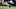 Carolina Panthers v Houston Texans Carolina Panthers v Houston Texans