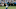 Jacksonville Jaguars v Carolina Panthers