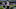 Jayon Brown, Carolina Panthers