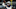 Dak Prescott, Carolina Panthers Dak Prescott, Carolina Panthers