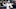 Dak Prescott, Carolina Panthers Dak Prescott, Carolina Panthers