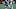 Barry Sanders, Carolina Panthers