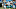 Miami Dolphins v Carolina Panthers Miami Dolphins v Carolina Panthers