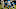 Miami Dolphins v Carolina Panthers Miami Dolphins v Carolina Panthers