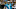New England Patriots v Carolina Panthers New England Patriots v Carolina Panthers