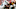 Carolina Panthers v Washington Redskins Carolina Panthers v Washington Redskins