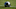 Baltimore Ravens v Carolina Panthers Baltimore Ravens v Carolina Panthers