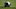 Baltimore Ravens v Carolina Panthers Baltimore Ravens v Carolina Panthers