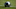 Baltimore Ravens v Carolina Panthers Baltimore Ravens v Carolina Panthers
