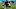 Tampa Bay Buccaneers v Carolina Panthers Tampa Bay Buccaneers v Carolina Panthers