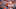 ACC Championship - Clemson v Pittsburgh ACC Championship - Clemson v Pittsburgh