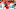 Carolina Panthers v Tampa Bay Buccaneers Carolina Panthers v Tampa Bay Buccaneers