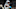 Carolina Panthers Carolina Panthers