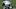 Buffalo Bills v Carolina Panthers Buffalo Bills v Carolina Panthers