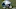 Buffalo Bills v Carolina Panthers Buffalo Bills v Carolina Panthers