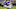 Buffalo Bills v Carolina Panthers Buffalo Bills v Carolina Panthers