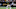 Carolina Panthers Carolina Panthers