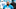 Carolina Panthers Carolina Panthers