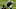 Carolina Panthers Carolina Panthers