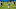 Carolina Panthers Carolina Panthers
