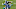 Carolina Panthers Carolina Panthers