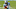 Carolina Panthers Carolina Panthers