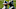 Carolina Panthers Carolina Panthers