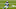 Carolina Panthers Carolina Panthers