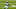 Carolina Panthers Carolina Panthers
