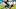 Carolina Panthers Carolina Panthers