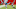 Carolina Panthers Carolina Panthers