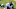 Carolina Panthers Carolina Panthers
