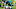 Carolina Panthers Carolina Panthers