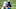 Carolina Panthers Carolina Panthers