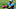 Carolina Panthers Carolina Panthers