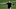 Carolina Panthers Carolina Panthers
