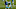 Carolina Panthers Carolina Panthers
