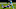 Carolina Panthers Carolina Panthers