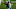 Carolina Panthers Carolina Panthers