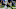 Carolina Panthers Carolina Panthers